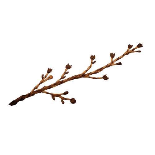 Embroidered branch Embroidered brown branch with small buds and twigs symbolizing nature immersion.