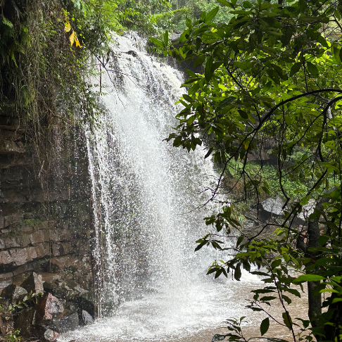 Waterfall in South African forest