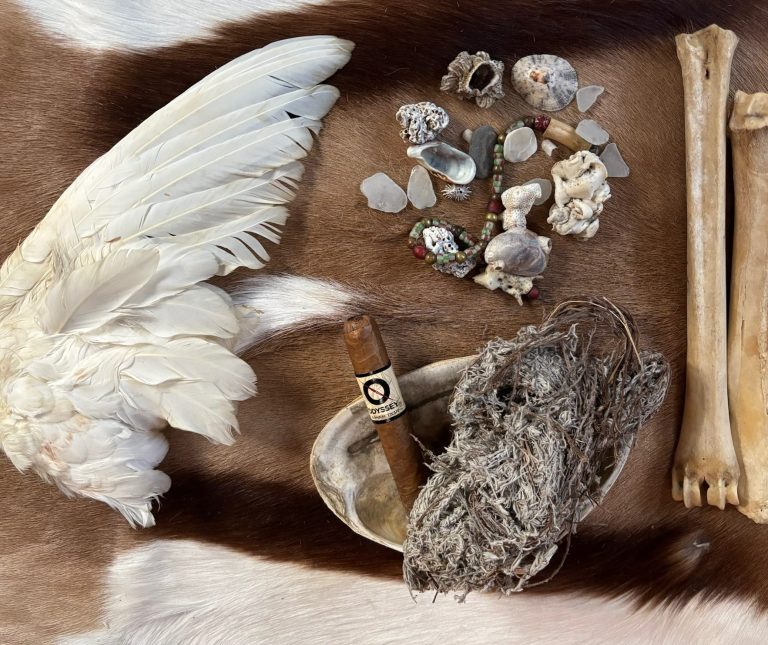 Dove wing ceremonial fan with shells, bones, cigar, and imphepho herb