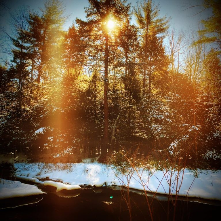 Sunlight filters through trees by a snowy river, creating a warm, serene atmosphere.